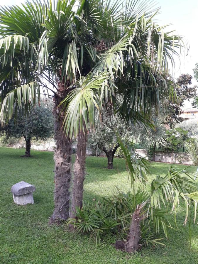 Appartamento Greta Cavaion Veronese Exterior foto